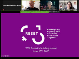 reset capacity building workshop